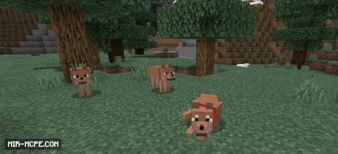 Wolves addon