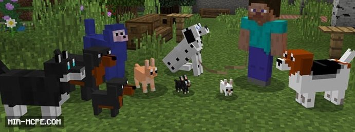 More Dogs addon